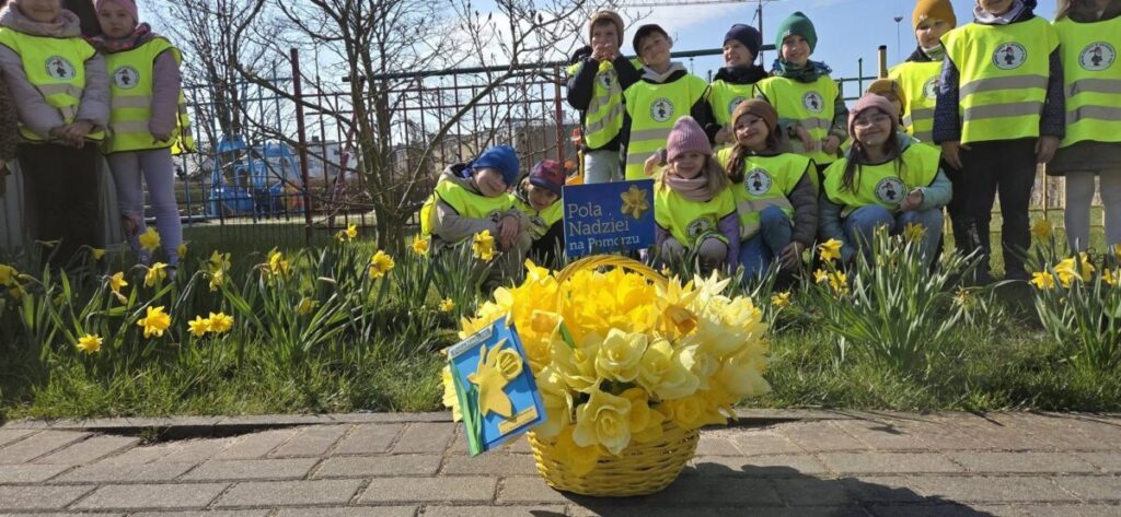 Kwiat poprzez swoją subtelność, barwę i zapach 3 19 Scaled 4 1024x473