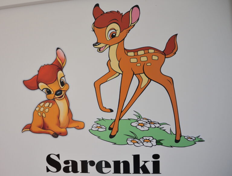 sarenki 10